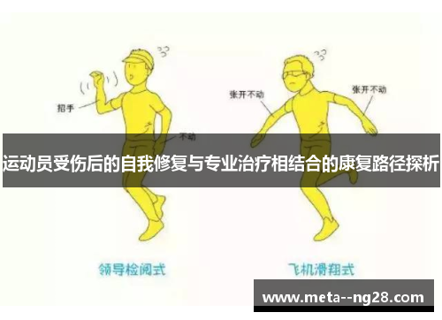 运动员受伤后的自我修复与专业治疗相结合的康复路径探析 运动员受伤后的自我修复与专业治疗相结合的康复路径探析