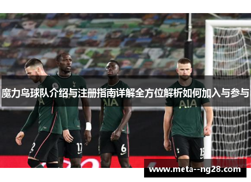 魔力鸟球队介绍与注册指南详解全方位解析如何加入与参与
